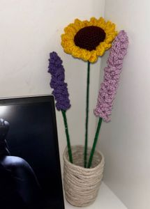 Crochet Flowers
