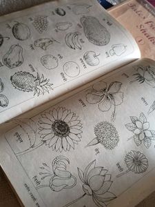 Children&#39;s Book