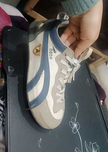 sports shoes and sneakers