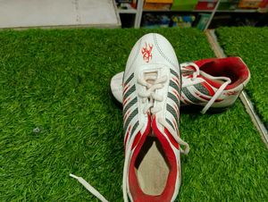 Sport Shoes