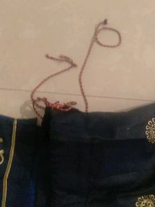 Embroidered Lehenga Choli