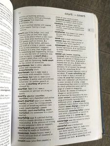 Little Oxford Dictionary