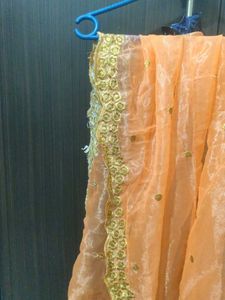 Elegant Peach Organza Duppta