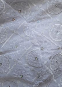 Chikankari Padded  Blouse