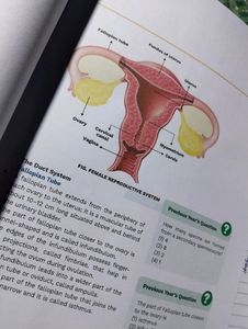 Human Reproduction Printed Notes Unacademy