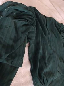 Green Sheer Sleeve Top