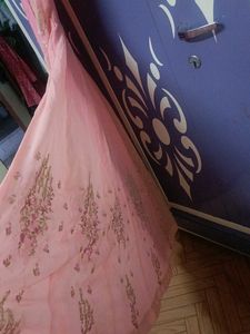 Full Embroydre Pink Gown