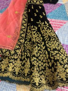 Black Velvet Lehenga With Golden Embroidery