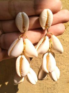 Cowrie Shell Earrings
