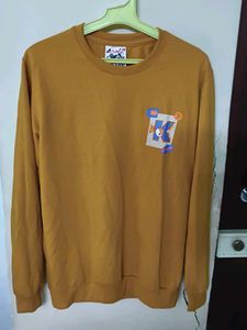 sweatshirt