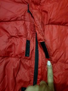 Polo Jeans Co. Puffer Jacket