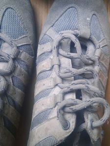 Woodland Shoes