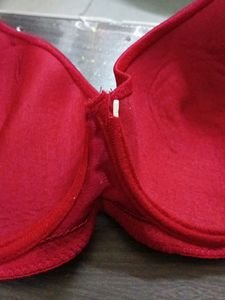 Embroidery Padded Bra
