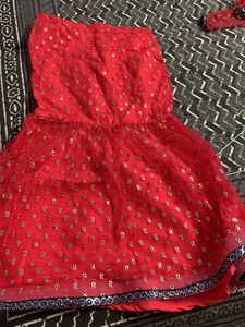 Beautiful Fish Cut Skirt With Full Sleeves Blouse