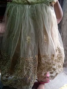 Elegant Ethnic Gown