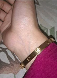 Cartier Gold Stainless Steel Love Bracelet