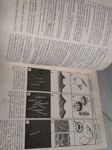 Textbook of Pathology