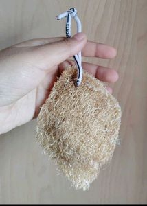 Natural Loofah Sponges