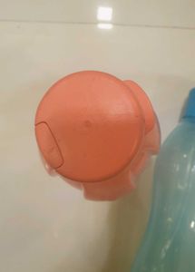 Tupperware Flip Top Water Bottles
