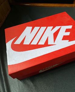 Nike Dunk Low (Authentic)