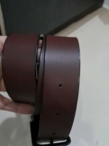 Branded Woodland Belt ( NO BOX )