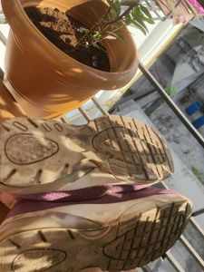 Mauve Casual Sneakers