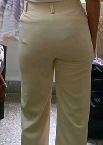 Formal Trouser Pants