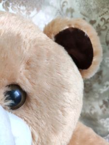 Teddy Bears 🐻🐨