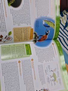 Knowledge Encyclopedia