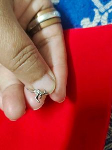 Imported|Unique Souvenir - Kangaroo Nosepin