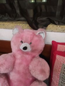 Pink Teddy