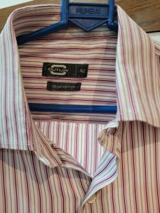 Daily Wear Shirt