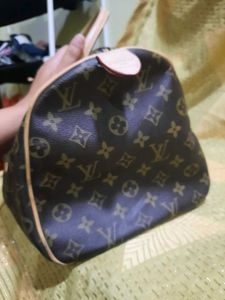 Louis Vuitton Speedy Bag