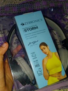Zebronics Black Wired Headphones
