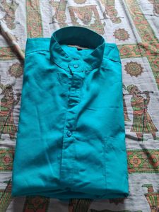 Light green Or Lighish Aqua Shade Color 4XLShirt