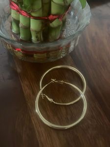 Gold Hoop Earrings