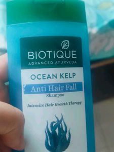 Shampoo