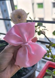 Pink Bow 🩷