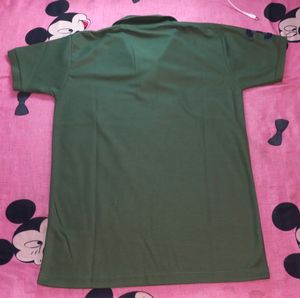 US Polo Assign Tshirt In Metty Fabric Ragular.