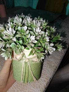 Artificial Plant Decor