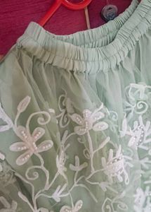 Embroidered Net Skirt