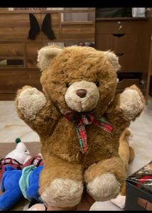 Cute Teddy Bear Combo