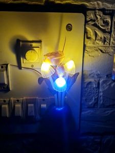 Mushroom Night Light