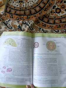 Biology Textbook For Class 11