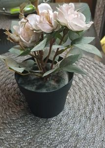 Flower Pots