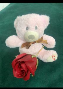 TEDDY BEAR