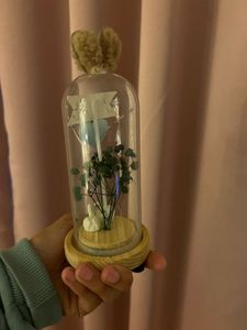 Swan Decor with Lights