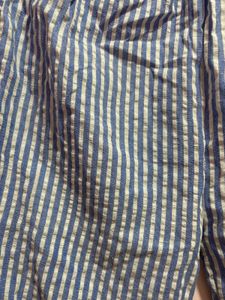 Blue Stripped Trousers