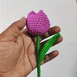 Handmade Crochet Tulip Flower