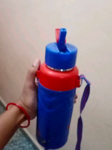Mickey Mouse Water Bottle